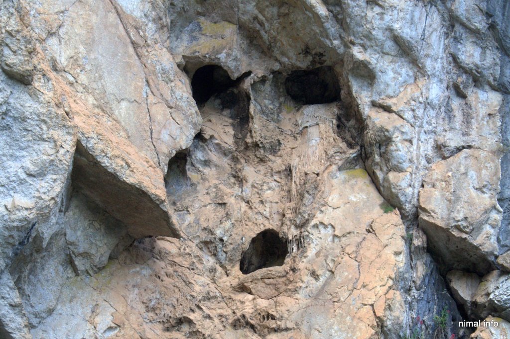 Human Face Rock